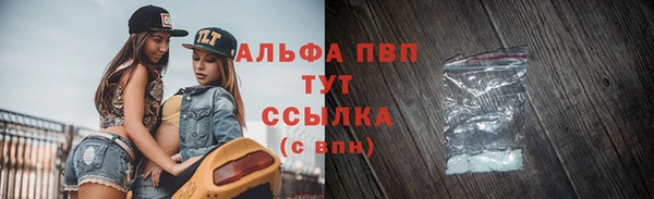 дживик Абаза