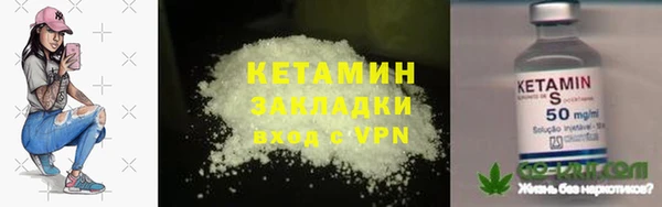 прущие грибы Абинск
