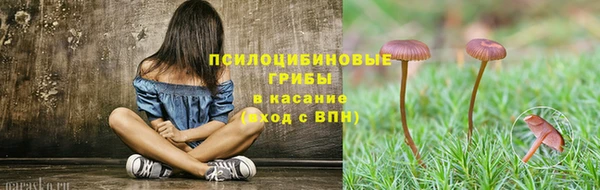 дживик Абаза