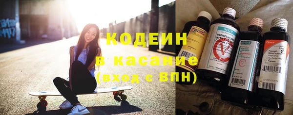 прущие грибы Абинск